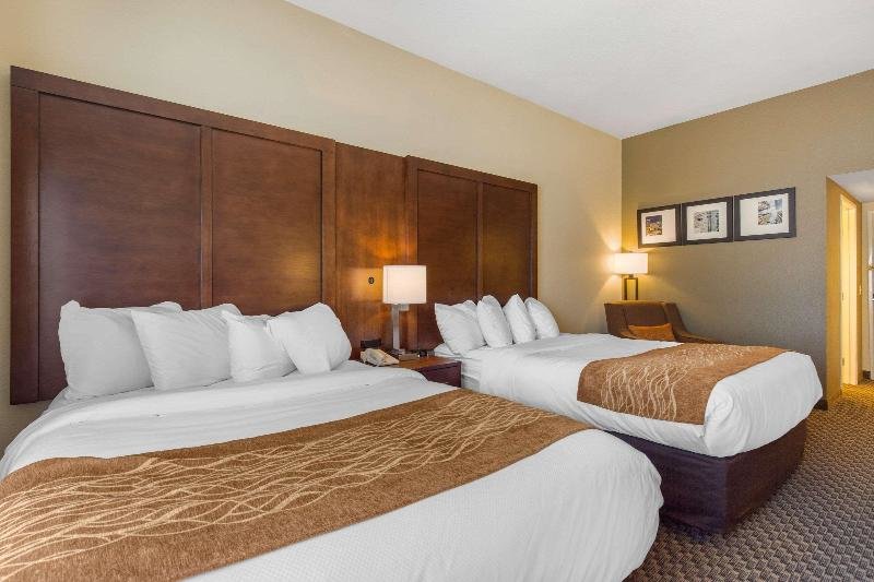 Standard Double room Comfort Inn & Suites SW Houston Sugarland