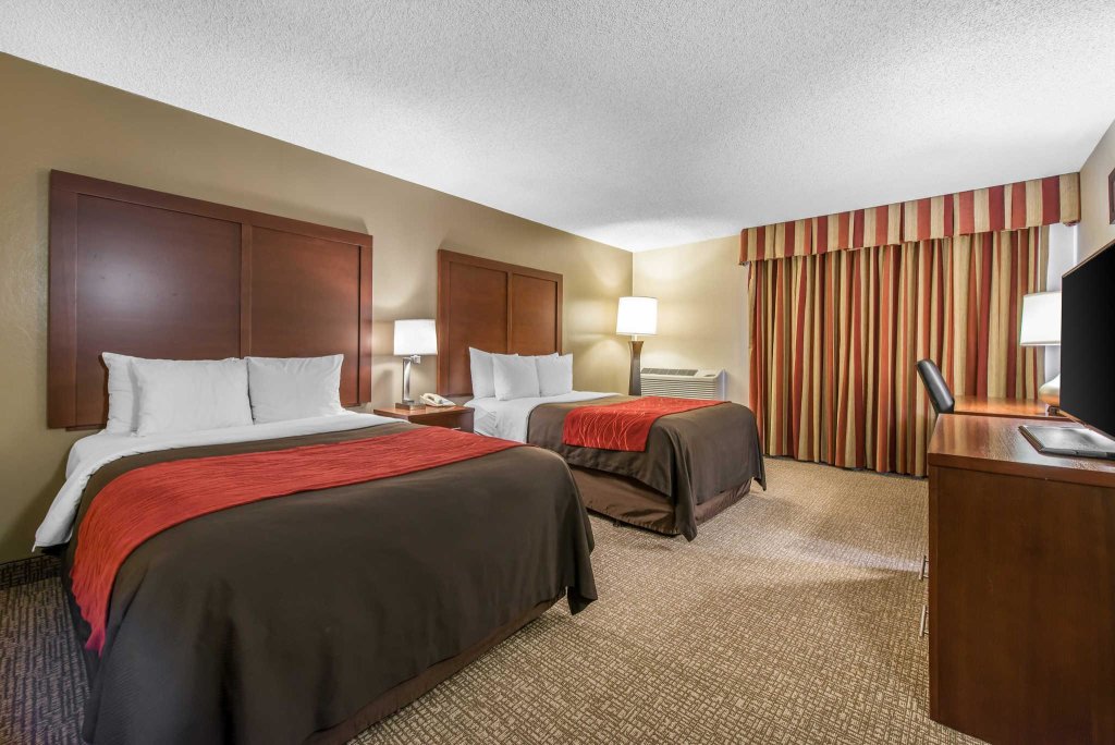 Четырёхместный номер Standard Comfort Inn & Suites Denver Northfield