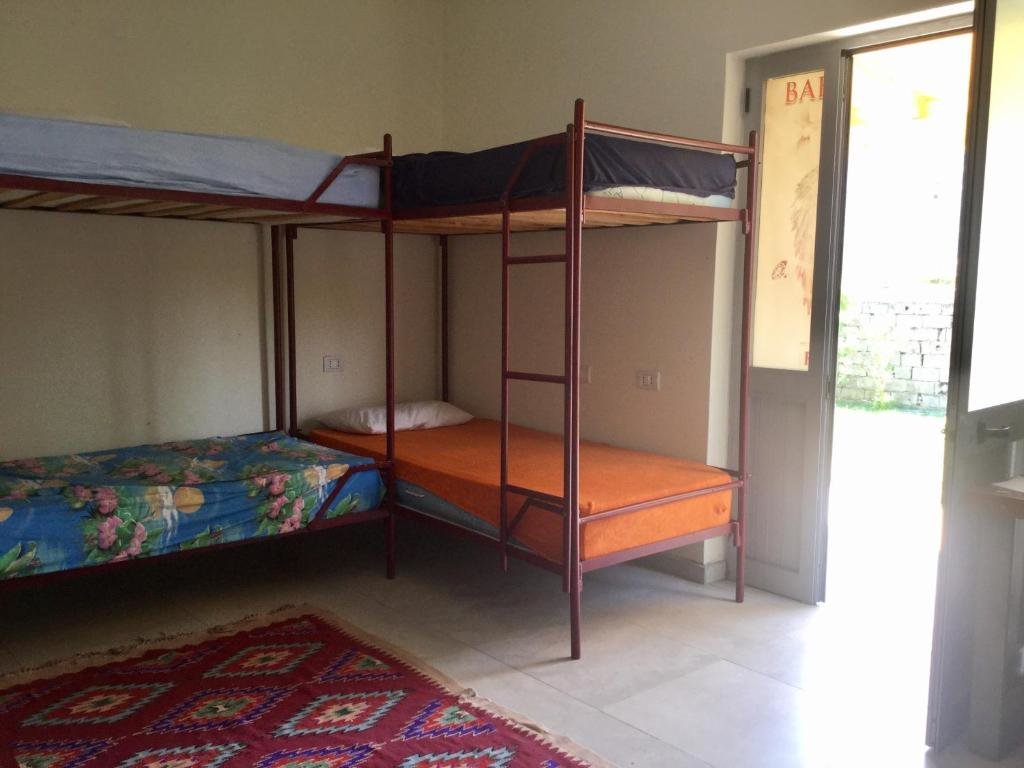 Bed in Dorm Backpacker Hostel