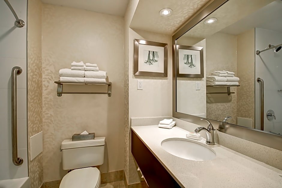 Двухместный люкс c 1 комнатой Holiday Inn Windsor - Ambassador Bridge, an IHG Hotel