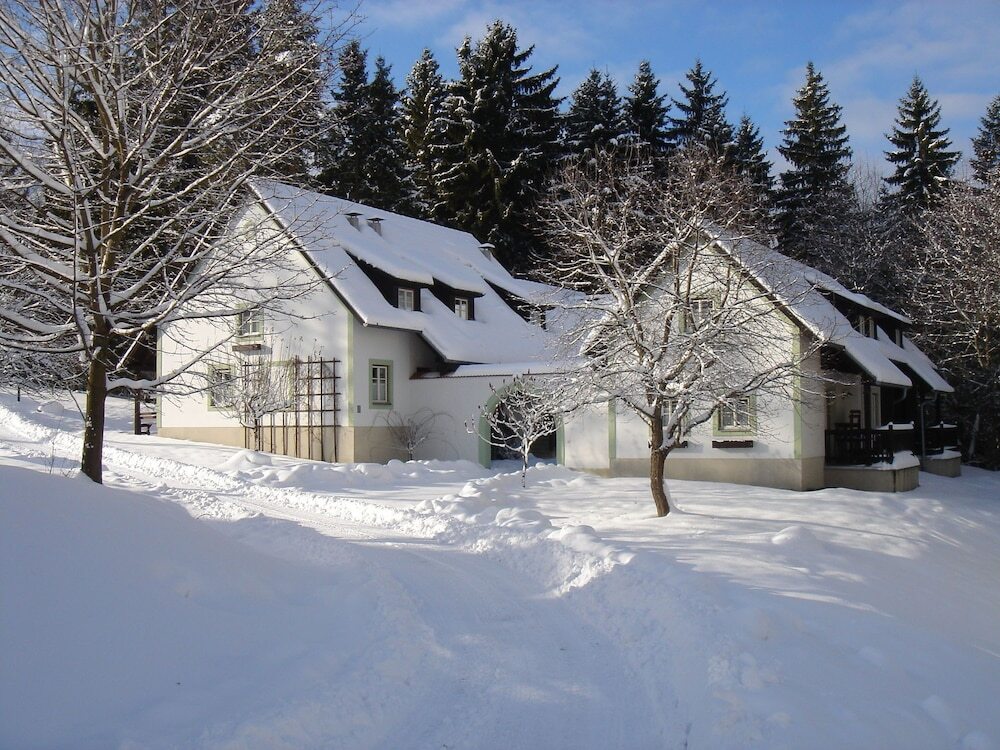 Beautiful Holiday Home in Litschau With Swimming Pool 利乔