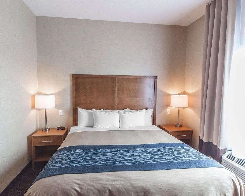 Standard Zimmer Comfort Inn & Suites
