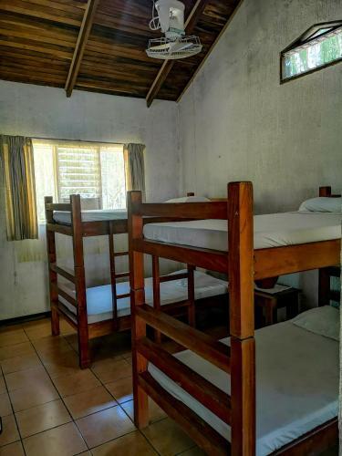 Bed And Breakfast B&B Arca De Noe Caletas, Costa Rica. Book Hotel B&B ...