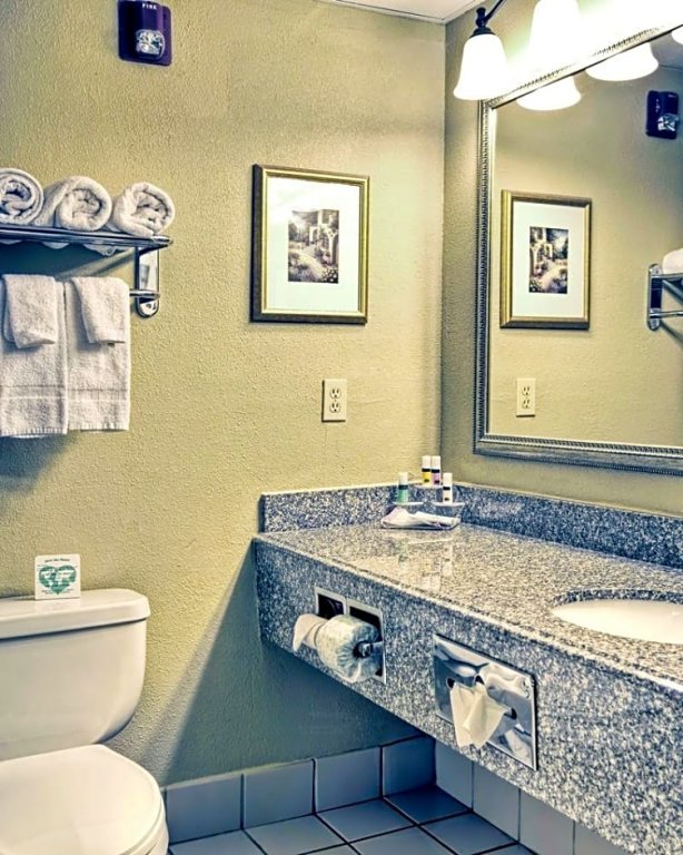 Четырёхместный люкс Country Inn & Suites by Radisson, Biloxi-Ocean Springs, MS