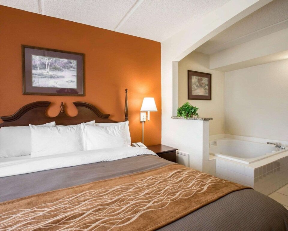 Люкс Standard Comfort Inn & Suites at I-85