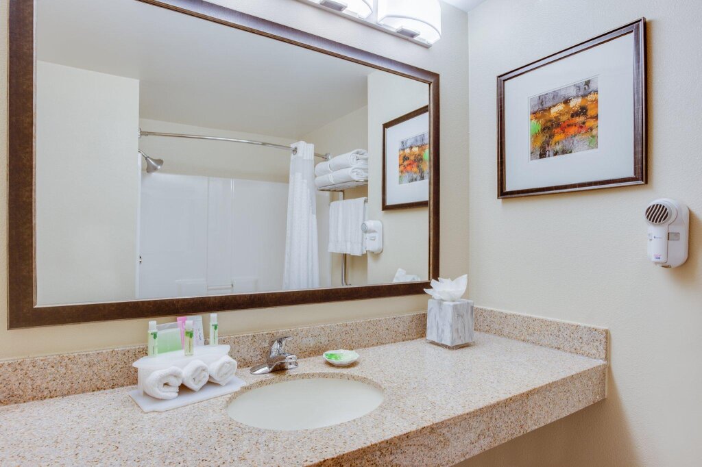Double Junior Suite Holiday Inn Express I-95 Capitol Beltway-Largo, an IHG Hotel