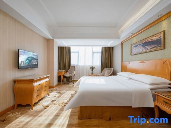 Deluxe Suite Vienna Hotel Shenzhen Longhua South Renmin Road