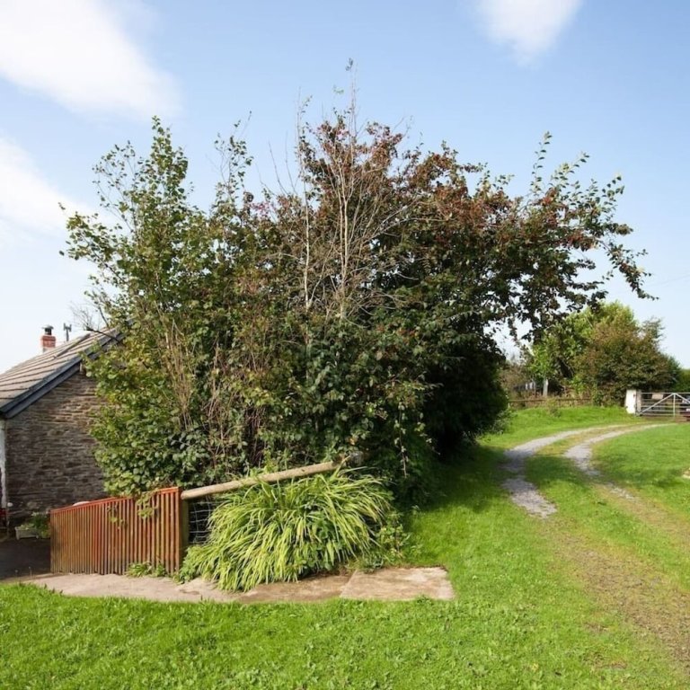 Коттедж Inviting 2-Bed Cottage in Newcastle Emlyn