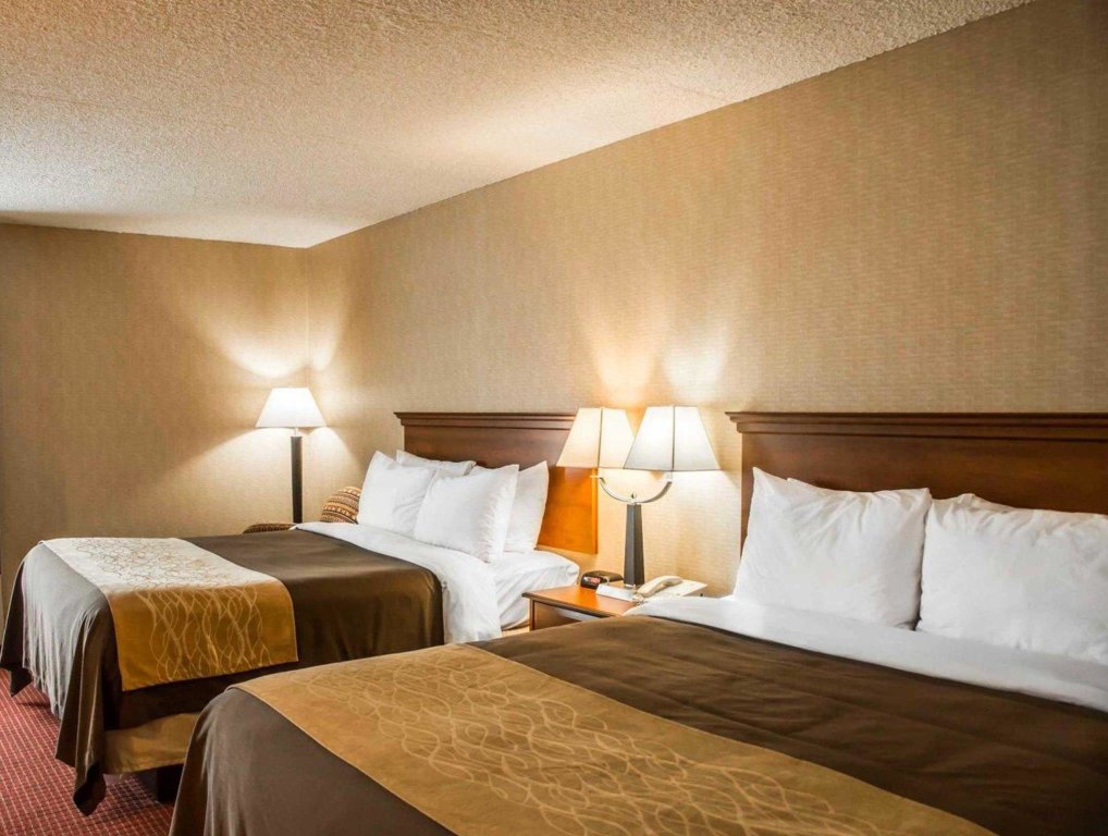 Standard Double room Quality Inn Springboro West