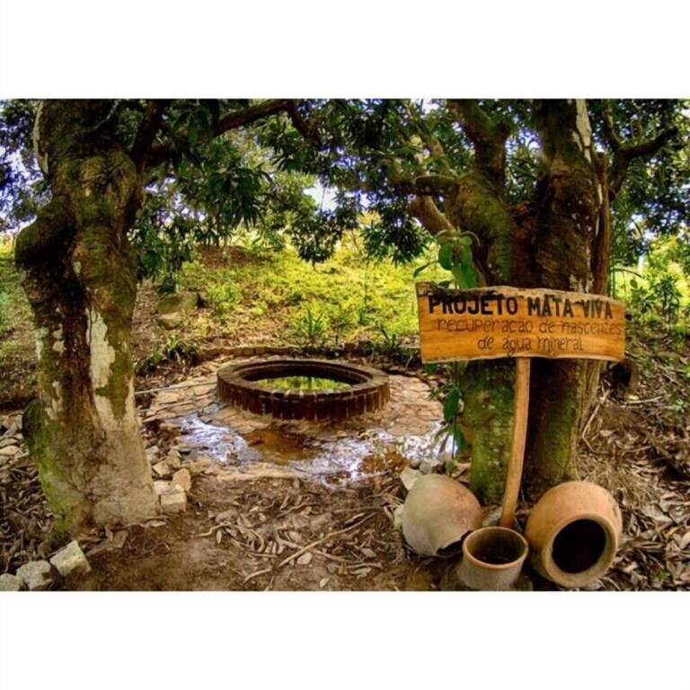 Farm Stay Fazenda Betânia, Iraci, Brazil 