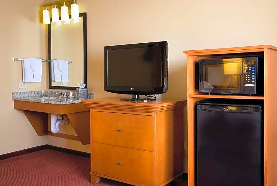 1 Bedroom Double Suite Embassy Suites