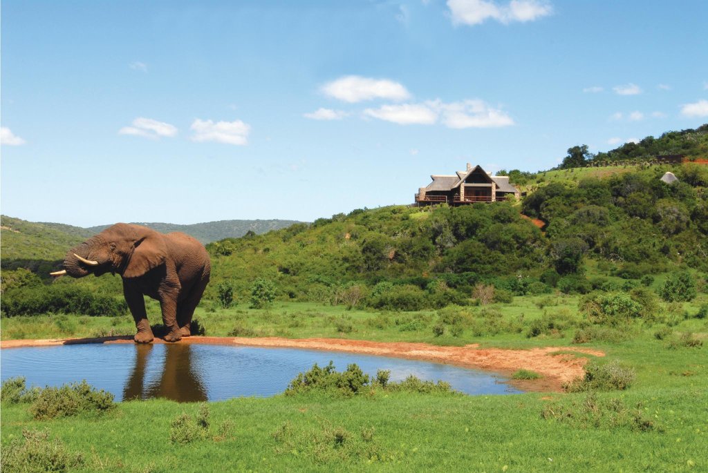 Люкс Hopewell Private Game Reserve