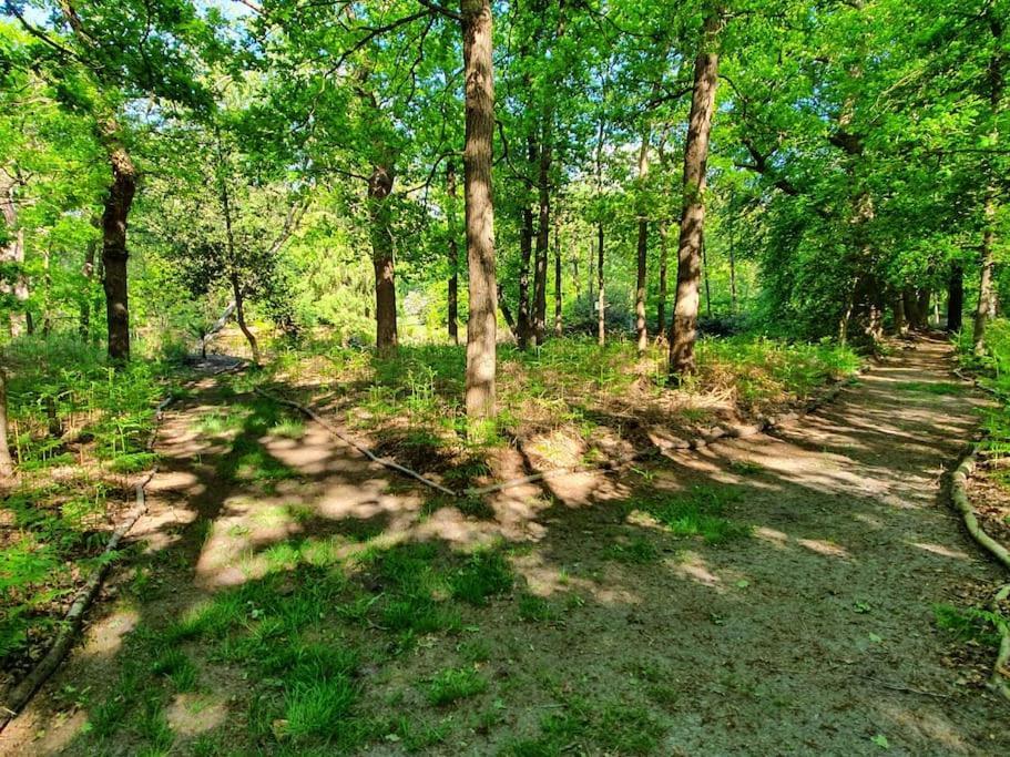 Вилла Midden in de Friese bossen op landgoed Princenhof