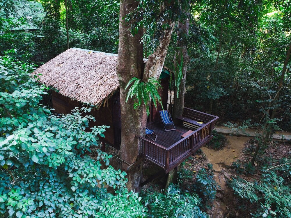 Cabaña doble Our Jungle House
