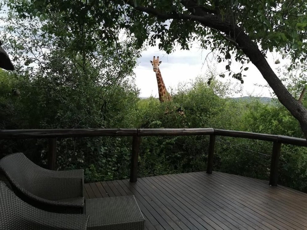 Luxus Zimmer Motswiri Private Safari Lodge