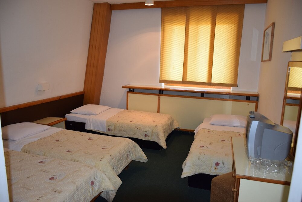 Standard Double room with mountain view Bat Hotel Bistrica