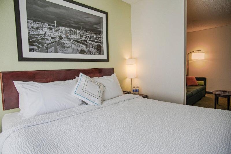 Standard Zimmer SpringHill Suites by Marriott Seattle Downtown/ S Lake Union