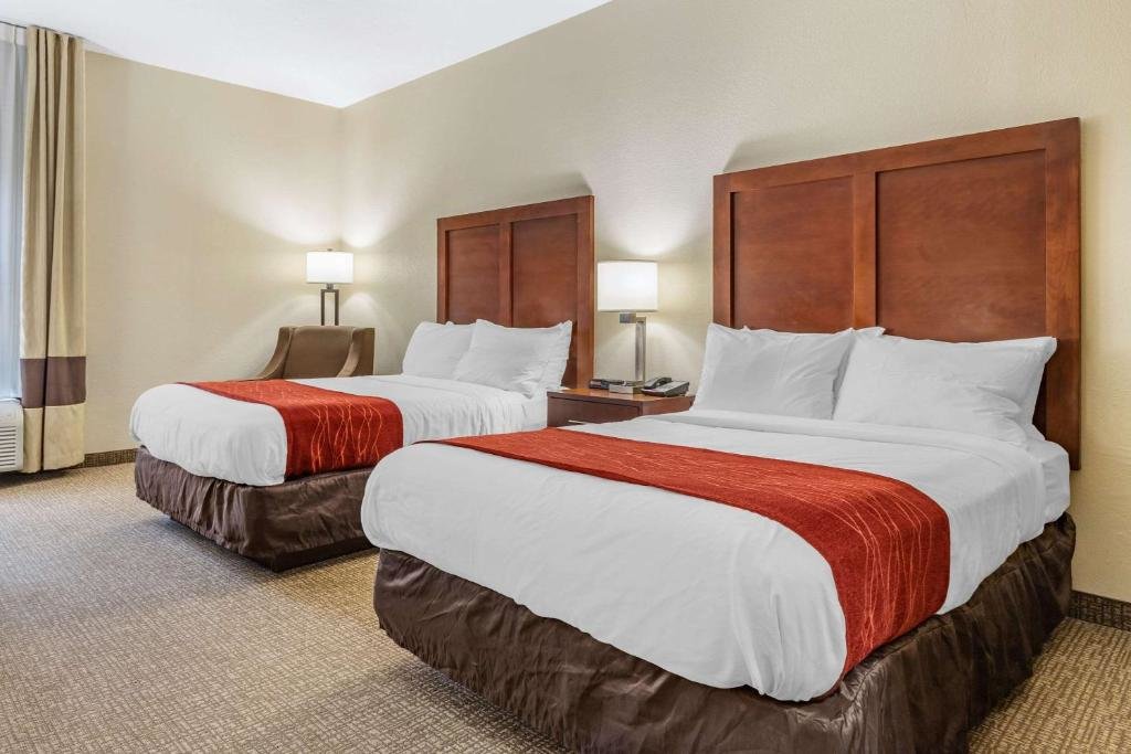 Двухместный номер Standard Comfort Inn & Suites Clemson - University Area