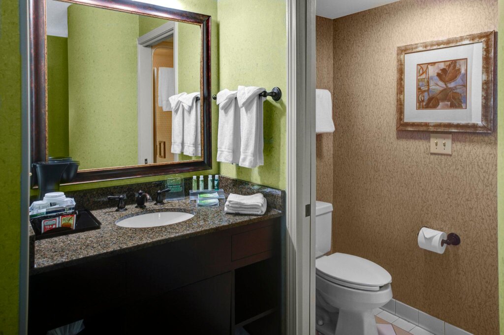 Номер Standard Holiday Inn Express & Suites Atlanta Buckhead, an IHG Hotel