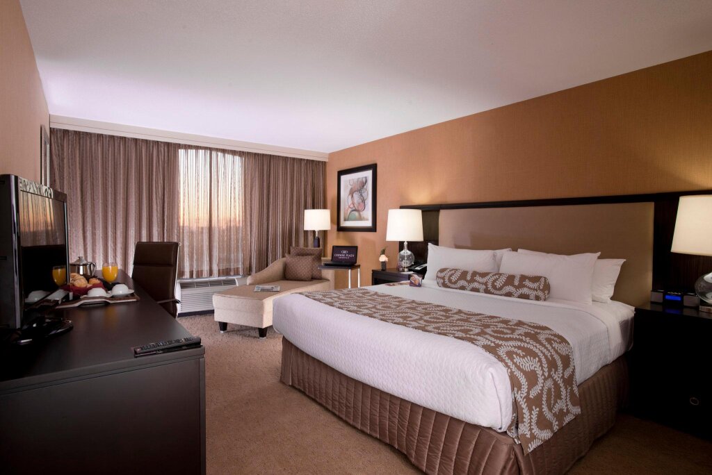 Standard Einzel Zimmer Crowne Plaza Hotel Greenville-I-385-Roper Mtn Rd, an IHG Hotel