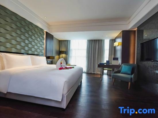 Suite De lujo Tianyi Guobin Hotel