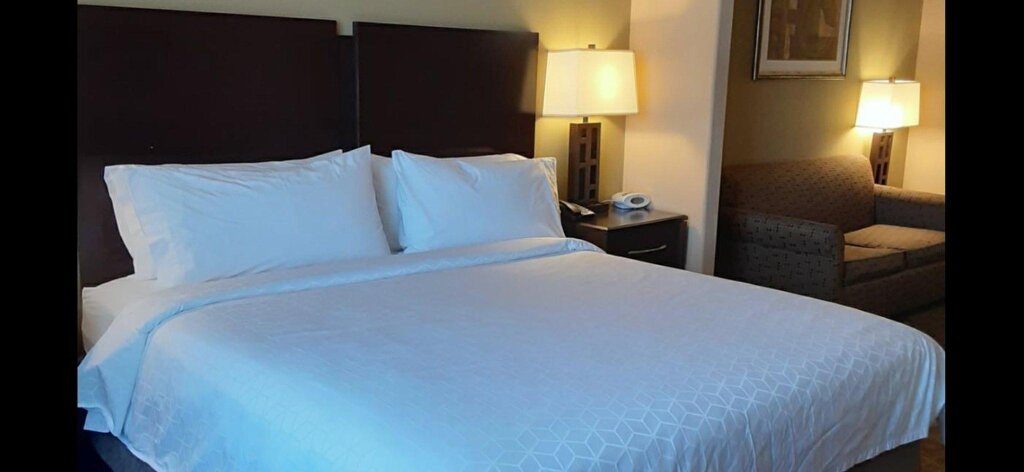 Четырёхместный люкс Holiday Inn Express Hotel & Suites Pecos, an IHG Hotel