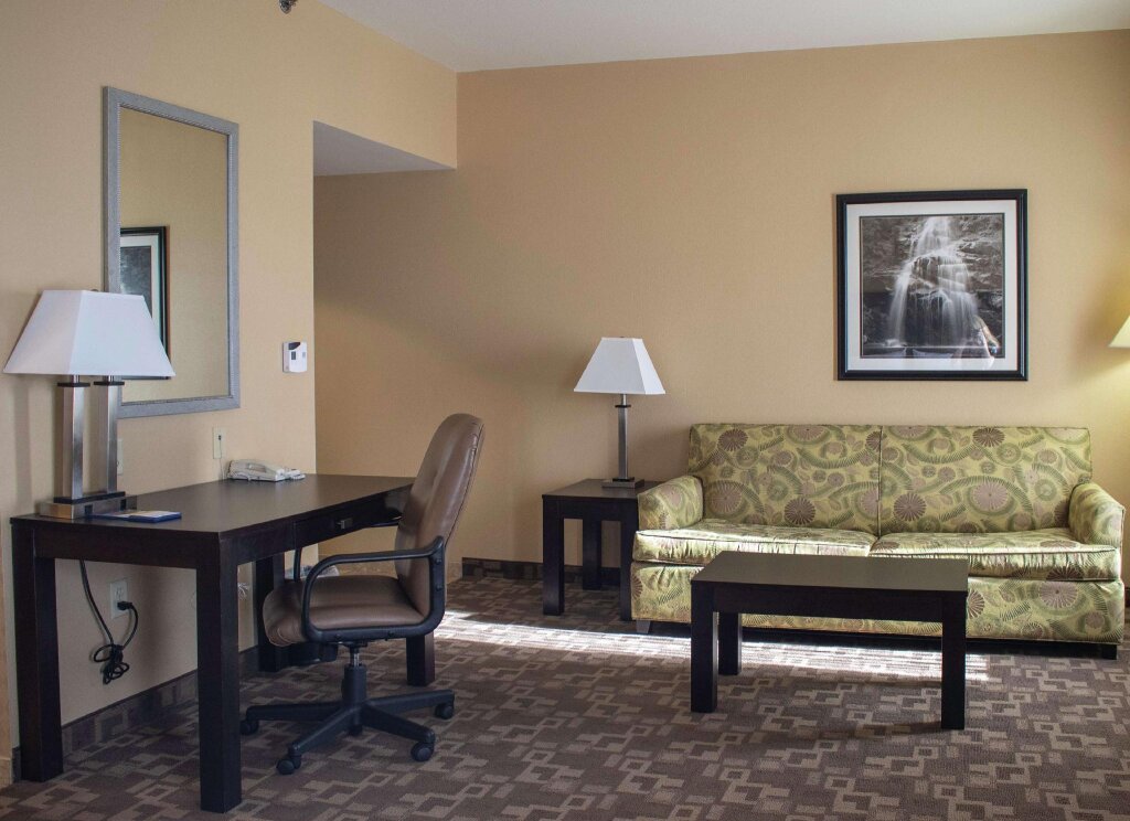 Двухместный люкс Hampton Inn & Suites-Knoxville/North I-75