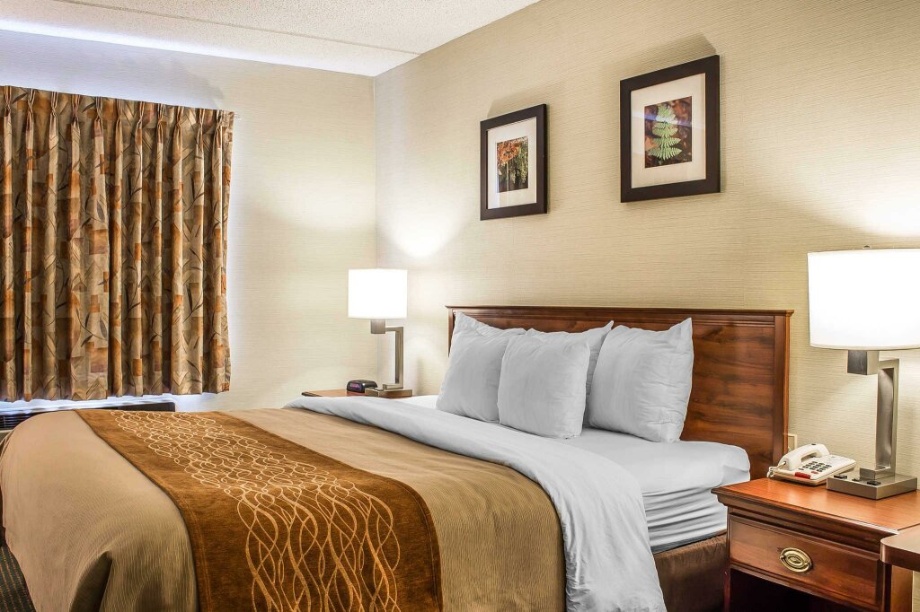 Standard Zimmer Comfort Inn & Suites Wilkes Barre - Arena