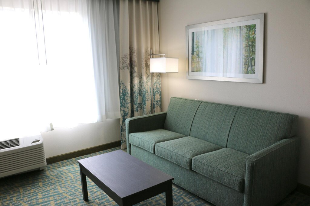 Двухместный люкс Holiday Inn Express & Suites - Hendersonville SE - Flat Rock, an IHG Hotel