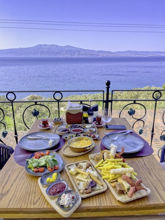 Двухместный номер Standard с балконом и с видом на море Assos Dionysos Hotel Adults Only 18