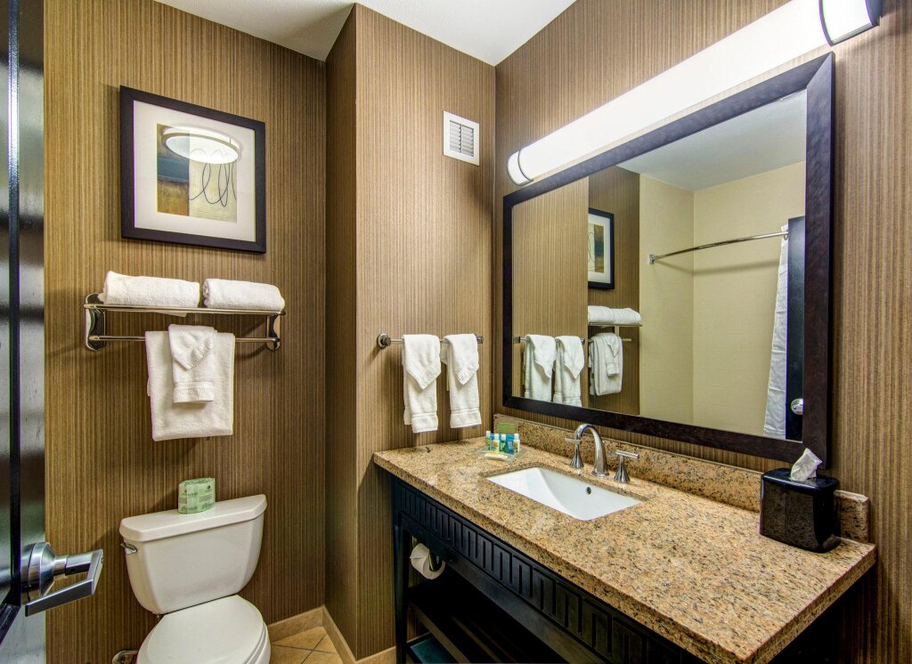 Standard double chambre Holiday Inn Arlington NE-Rangers Ballpark, an IHG Hotel