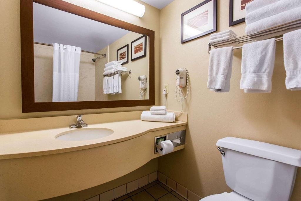 Двухместный люкс Standard Comfort Suites Wilmington near Downtown