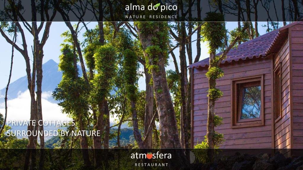 Студия Alma do Pico - Nature Residence