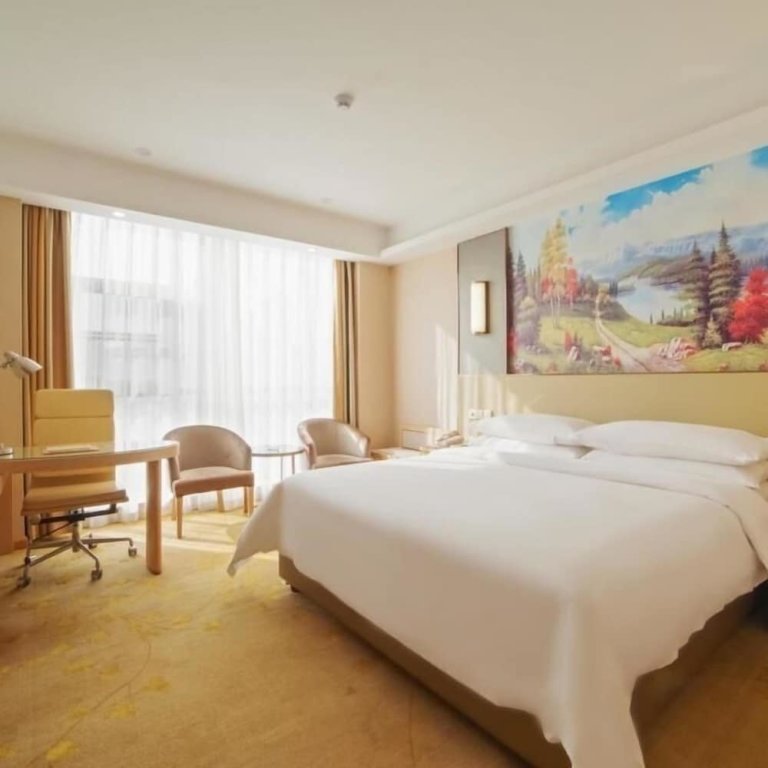 Deluxe Suite Vienna Hotel Jinshan Road Yiyang