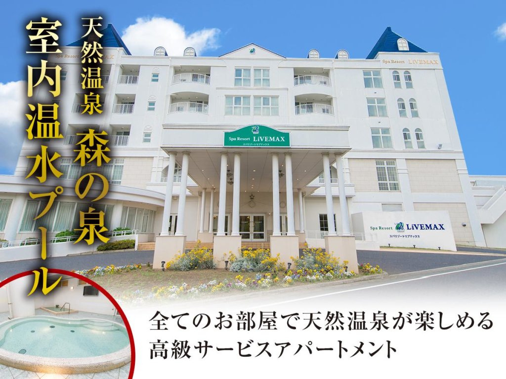 Номер Standard Spa Resort LiVEMAX