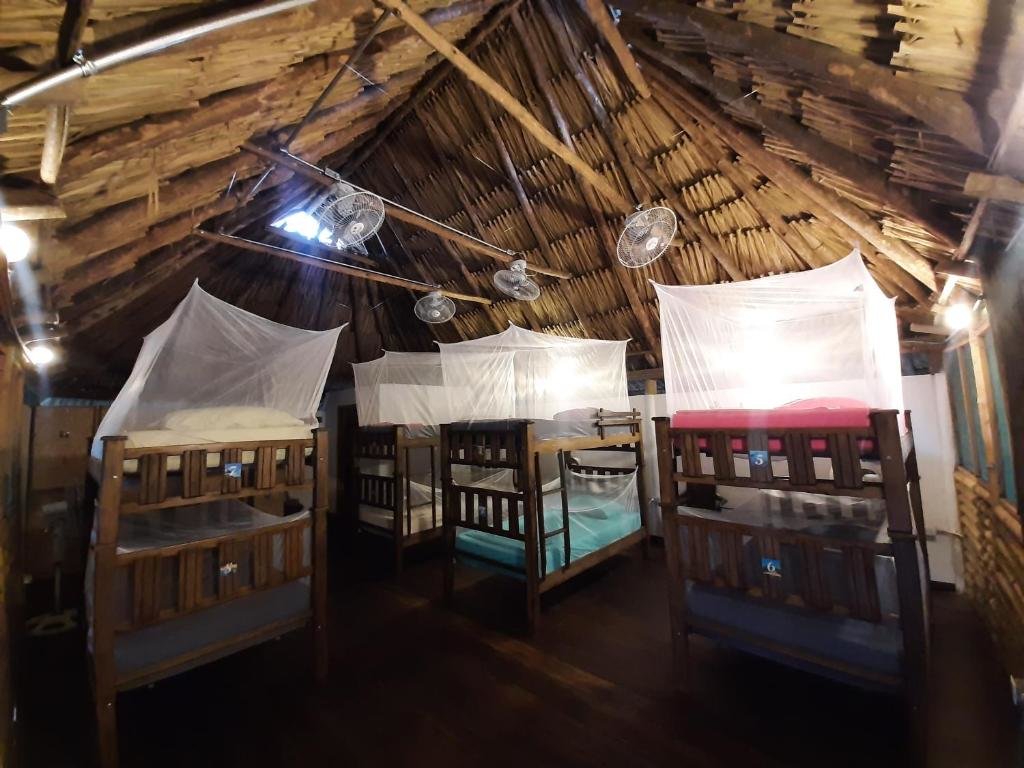 Кровать в общем номере Tiki Hut Hostel