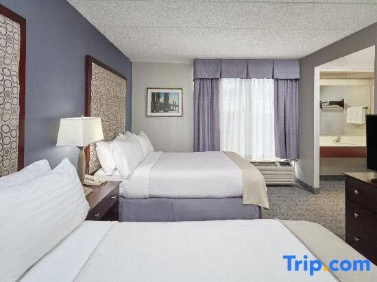 Двухместный люкс c 1 комнатой Holiday Inn & Suites Chicago-Carol Stream Wheaton, an IHG Hotel