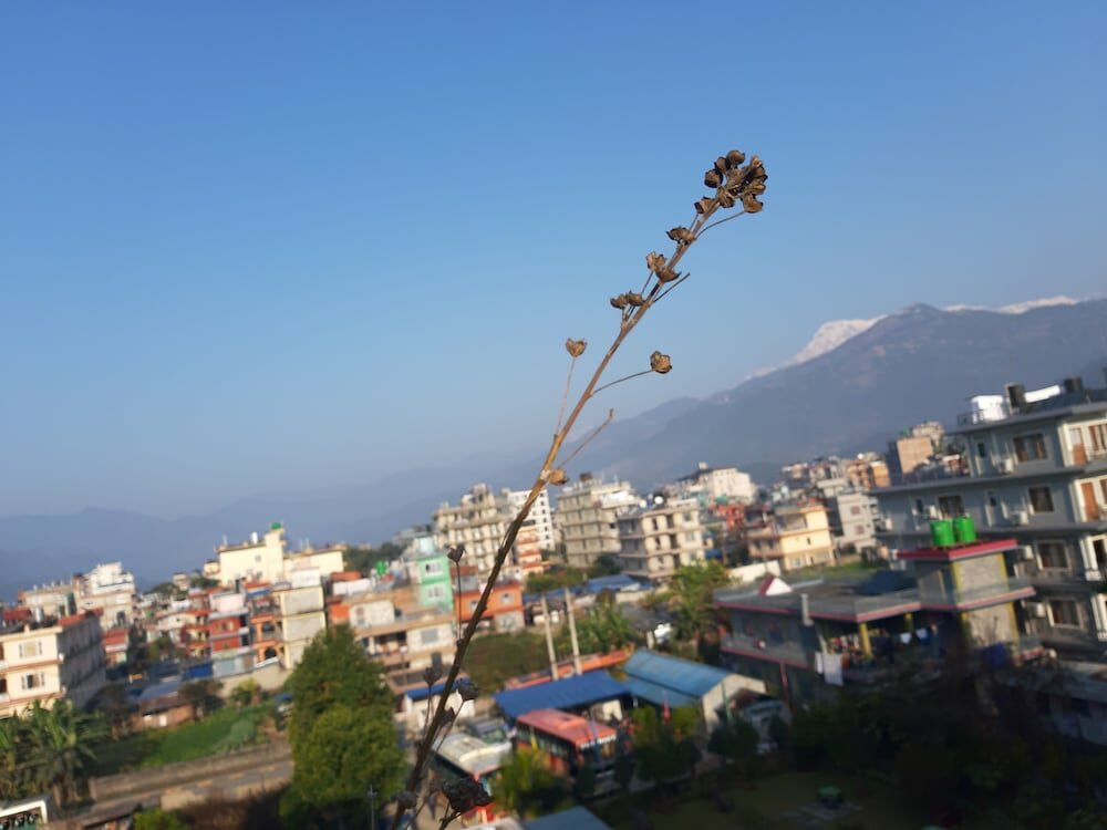 Camera doppia Deluxe con vista sulle montagne Hotel Crown Himalayas