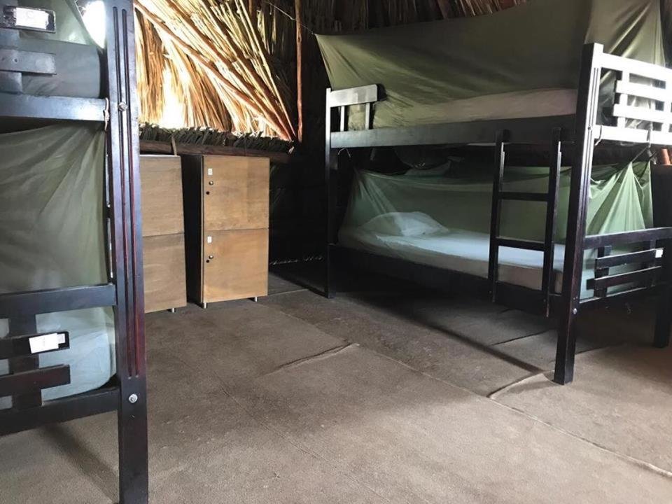 Кровать в общем номере Palomino Breeze Hostal