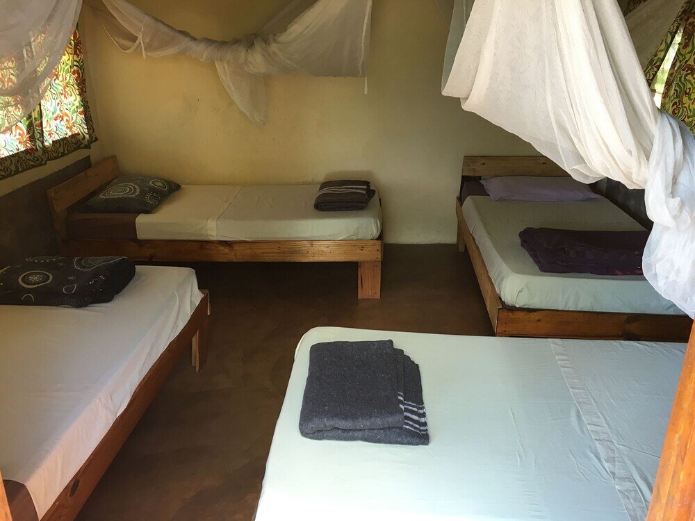 Letto in camerata Deans Hillview Backpackers - Hostel