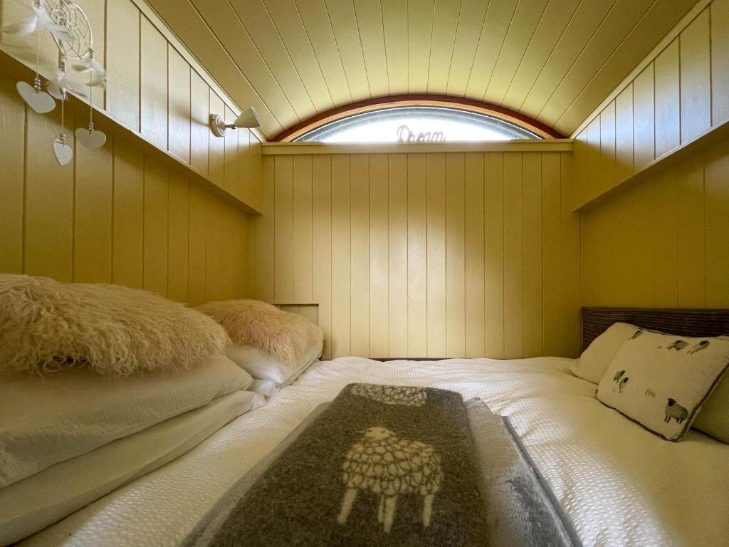 Apartment 1 Schlafzimmer 5 Star Shepherds Hut in Betws y Coed with Mountain View