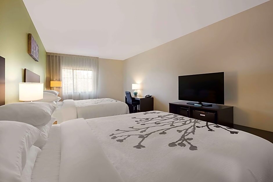 Четырёхместный люкс Sleep Inn & Suites North Mobile Saraland
