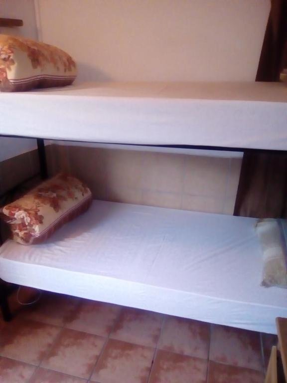 (camerata maschile) letto in camerata Accoustix Backpackers Hostel
