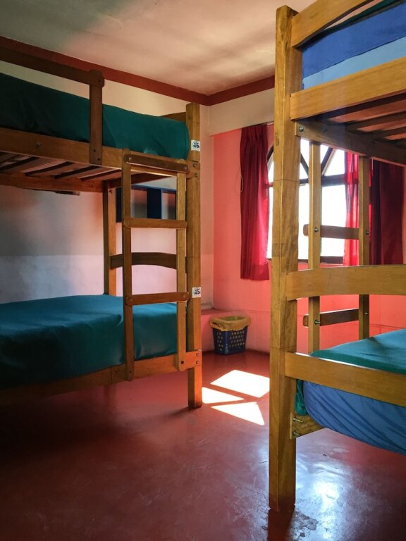 Cama en dormitorio compartido Bothy Hostel Arequipa