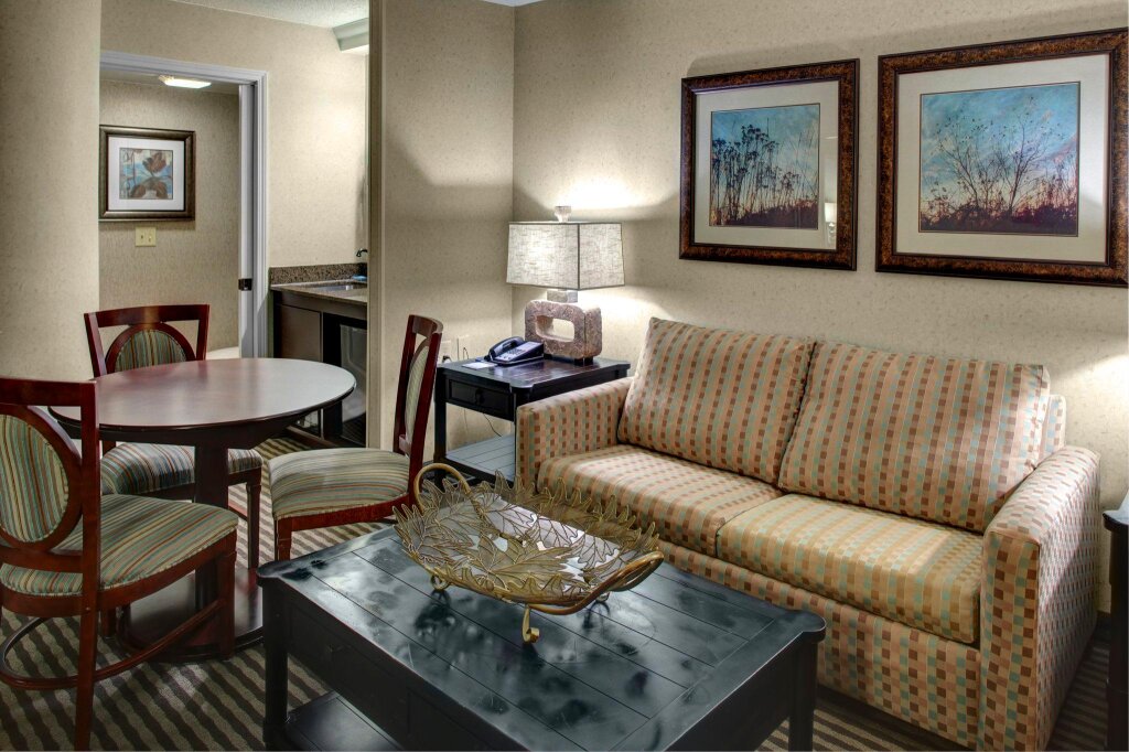 Люкс c 1 комнатой Holiday Inn Express & Suites Atlanta Buckhead, an IHG Hotel
