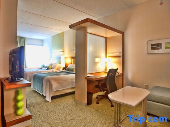 Двухместный люкс SpringHill Suites by Marriott Houston Rosenberg