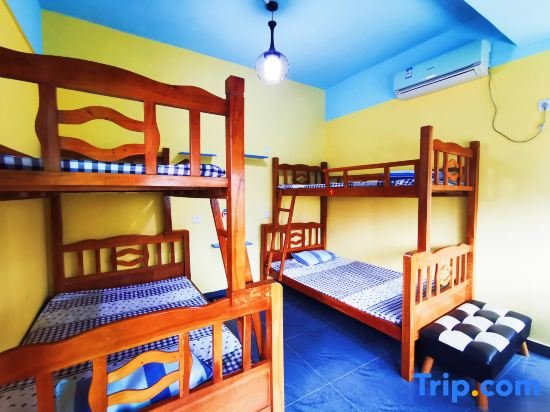 Кровать в общем номере Danzhou 517 Homestay