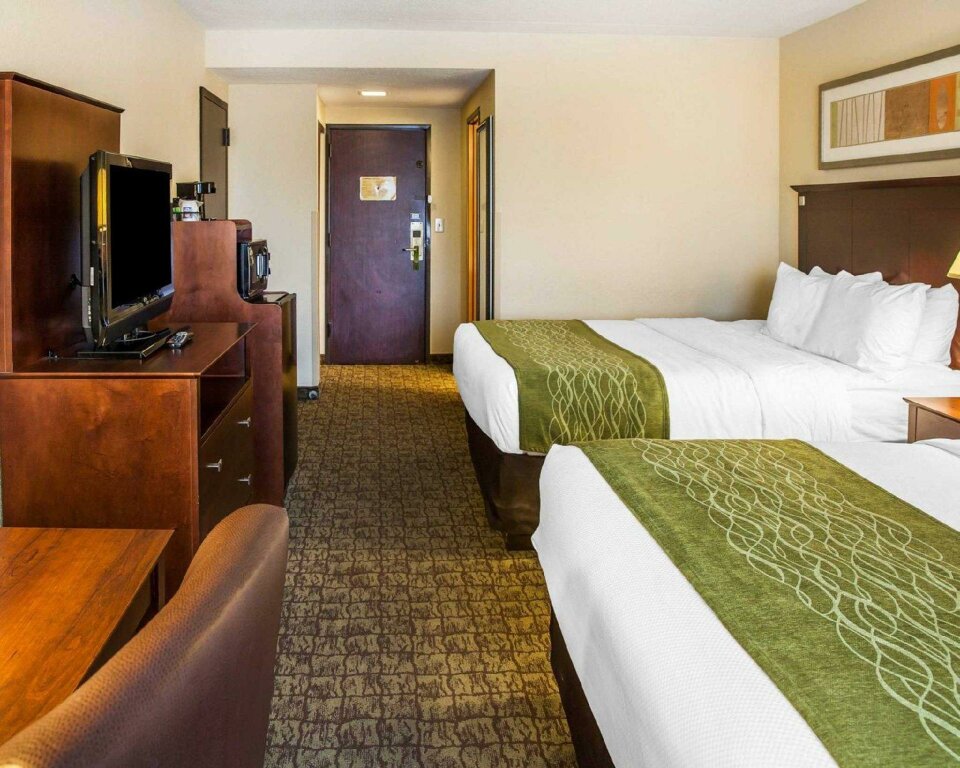 Standard Quadruple room Fairfield Inn & Suites