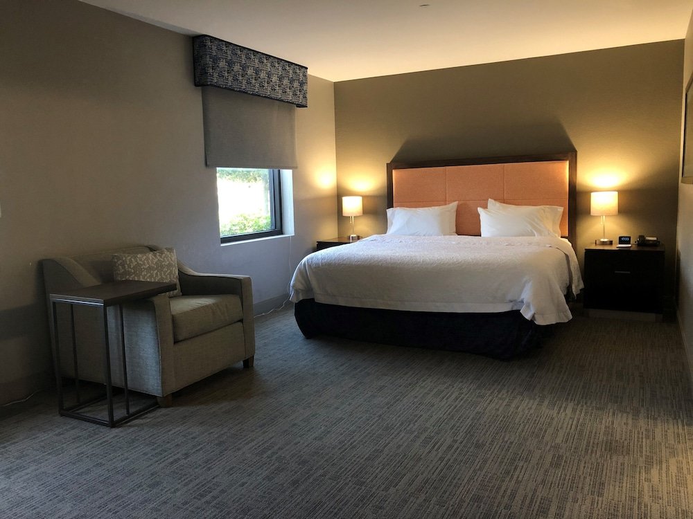 Deluxe room Hampton Inn & Suites Tampa Northwest/Oldsmar