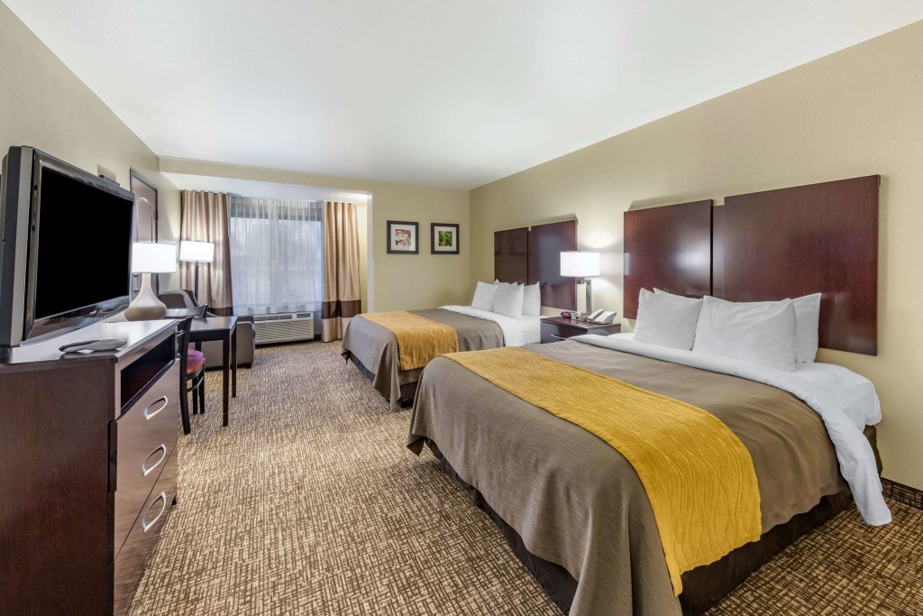 Четырёхместный номер Standard Comfort Inn and Suites Colton/San Bernardino